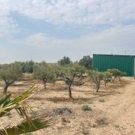 Resale - Villa -
Abanilla