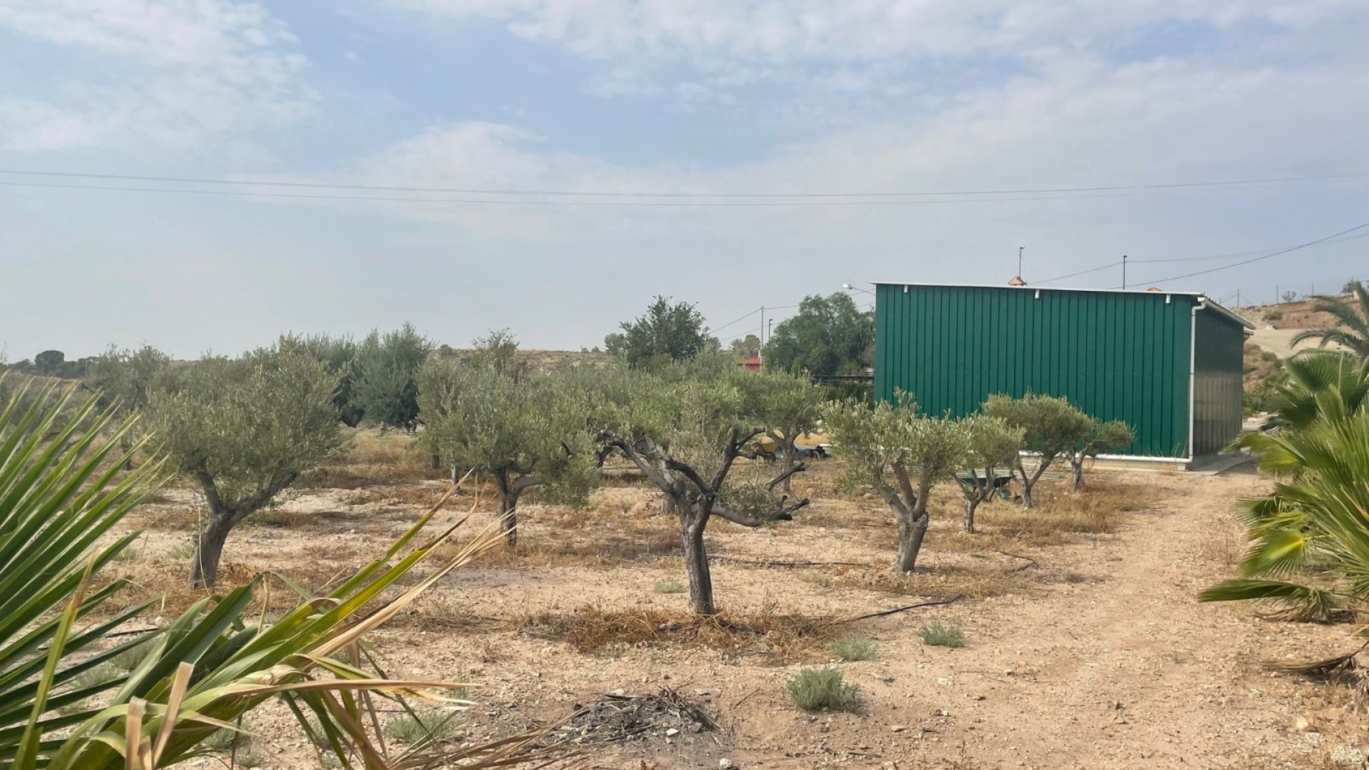 Resale - Villa -
Abanilla
