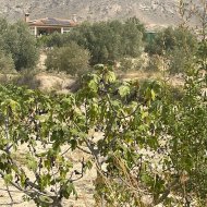 Resale - Villa -
Abanilla