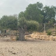 Resale - Villa -
Abanilla