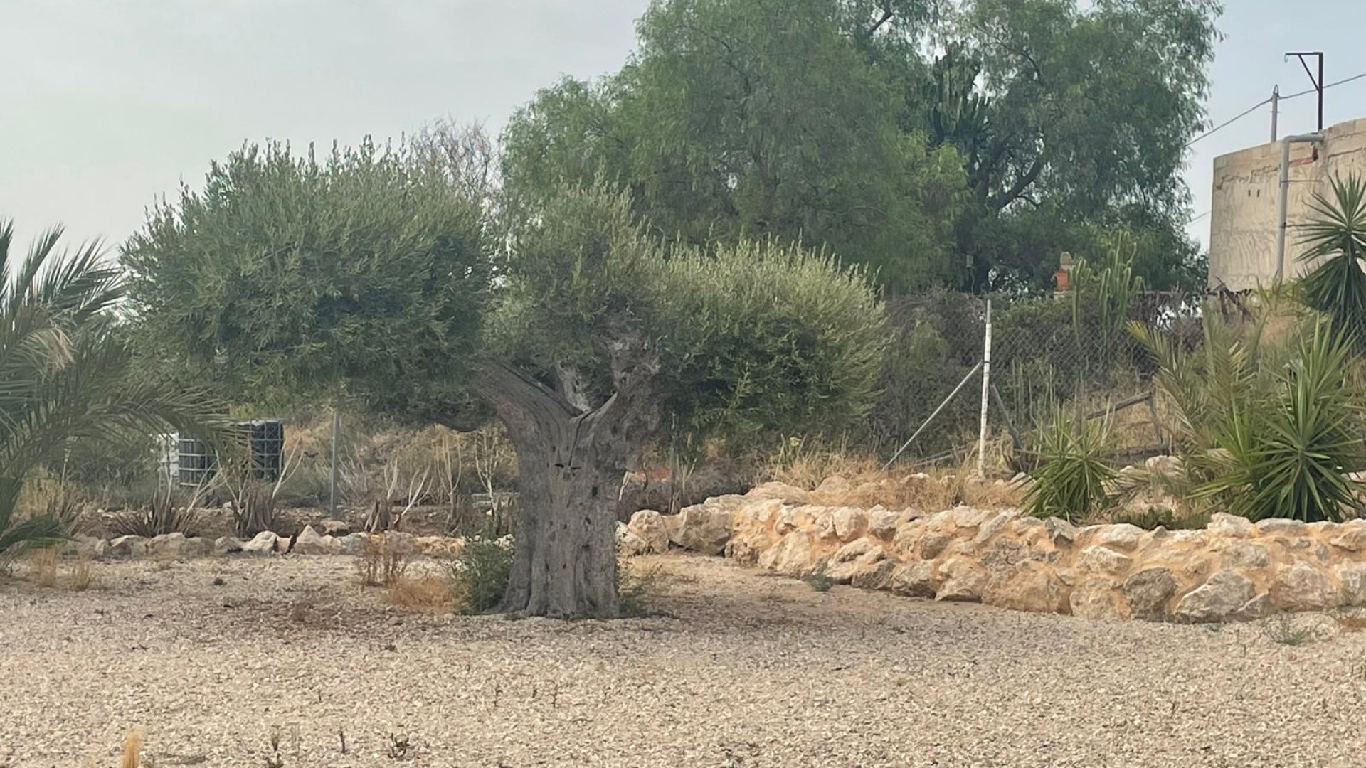 Resale - Villa -
Abanilla