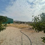 Resale - Villa -
Abanilla