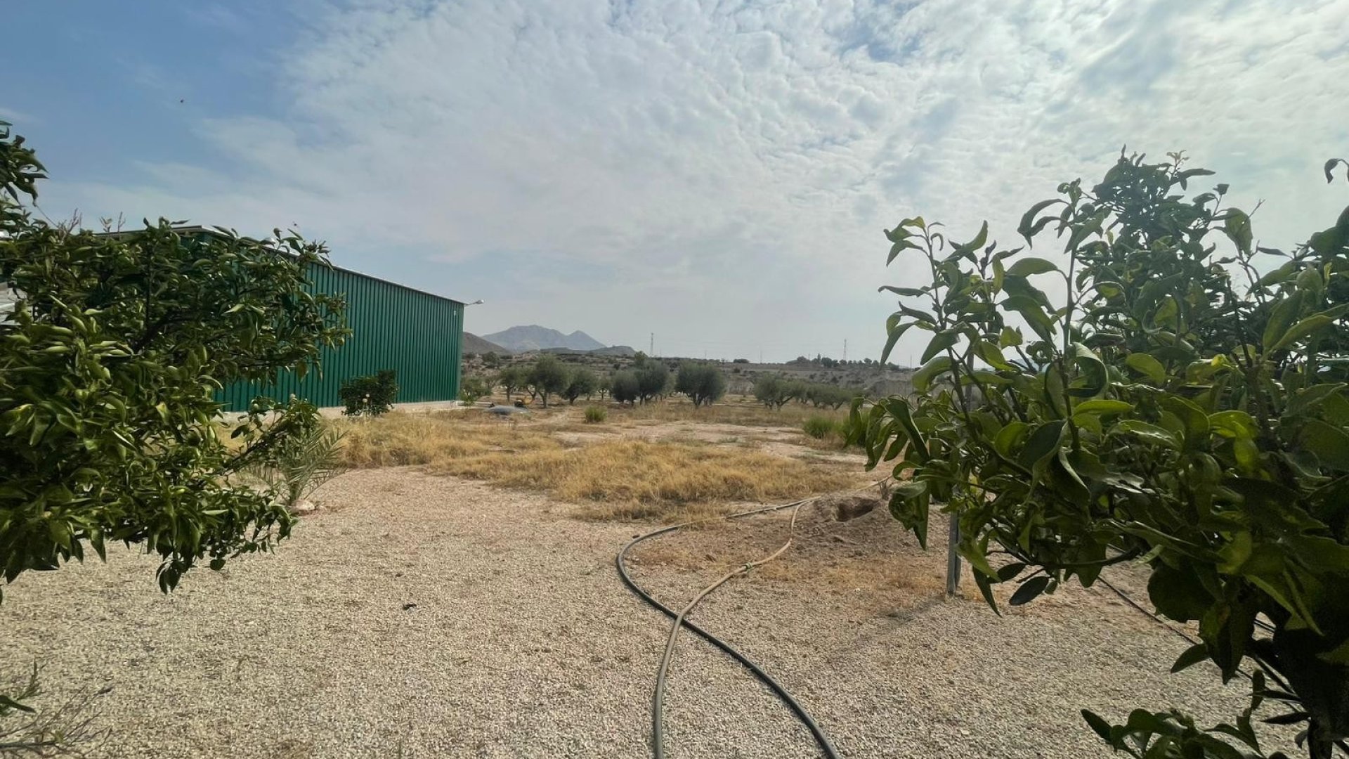 Resale - Villa -
Abanilla