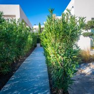 Resale - Villa -
Algorfa - LA FINCA GOLF / ALGORFA