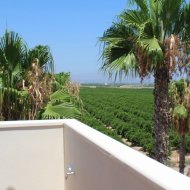 Resale - Villa -
Algorfa - La finca Golf