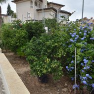 Resale - Villa -
Algorfa - Montemar