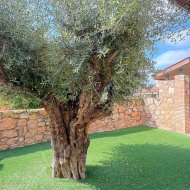 Resale - Villa -
Altorreal