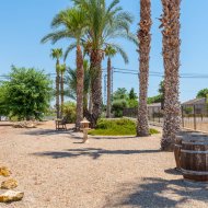 Resale - Villa -
Catral