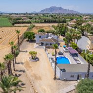 Resale - Villa -
Catral