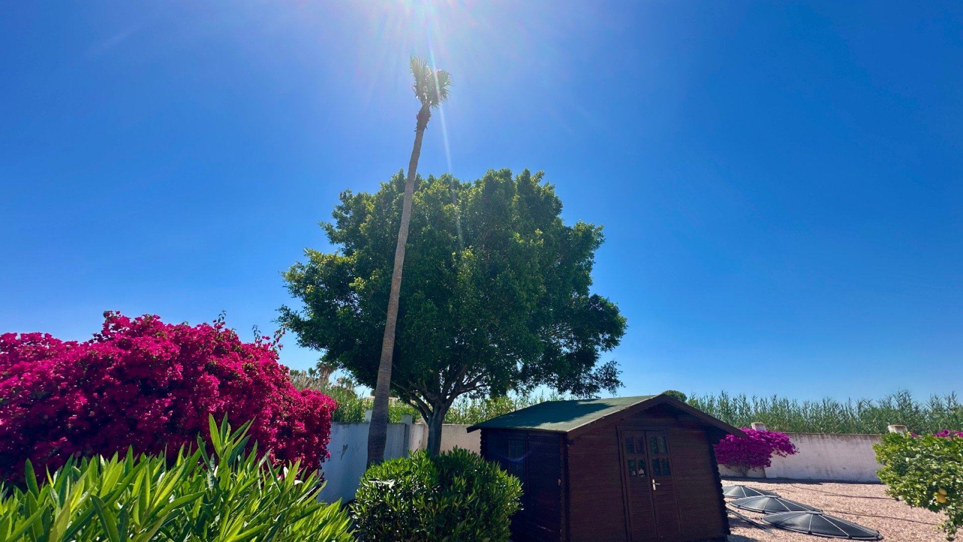 Resale - Villa -
Catral