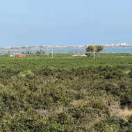 Resale - Villa -
Ciudad Quesada - Doña Pepa