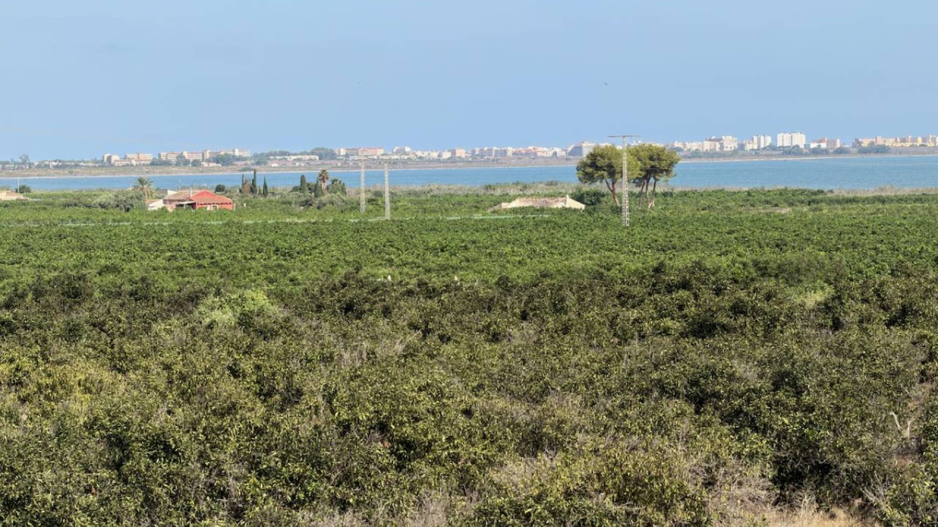 Resale - Villa -
Ciudad Quesada - Doña Pepa