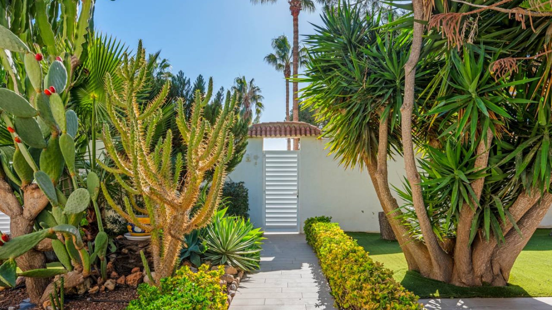 Resale - Villa -
Ciudad Quesada - Doña Pepa