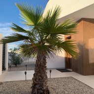 Resale - Villa -
Ciudad Quesada - Rojales