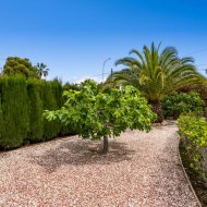 Resale - Villa -
Ciudad Quesada