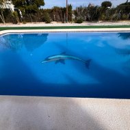 Resale - Villa -
Dolores