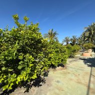 Resale - Villa -
Elche - Valverde