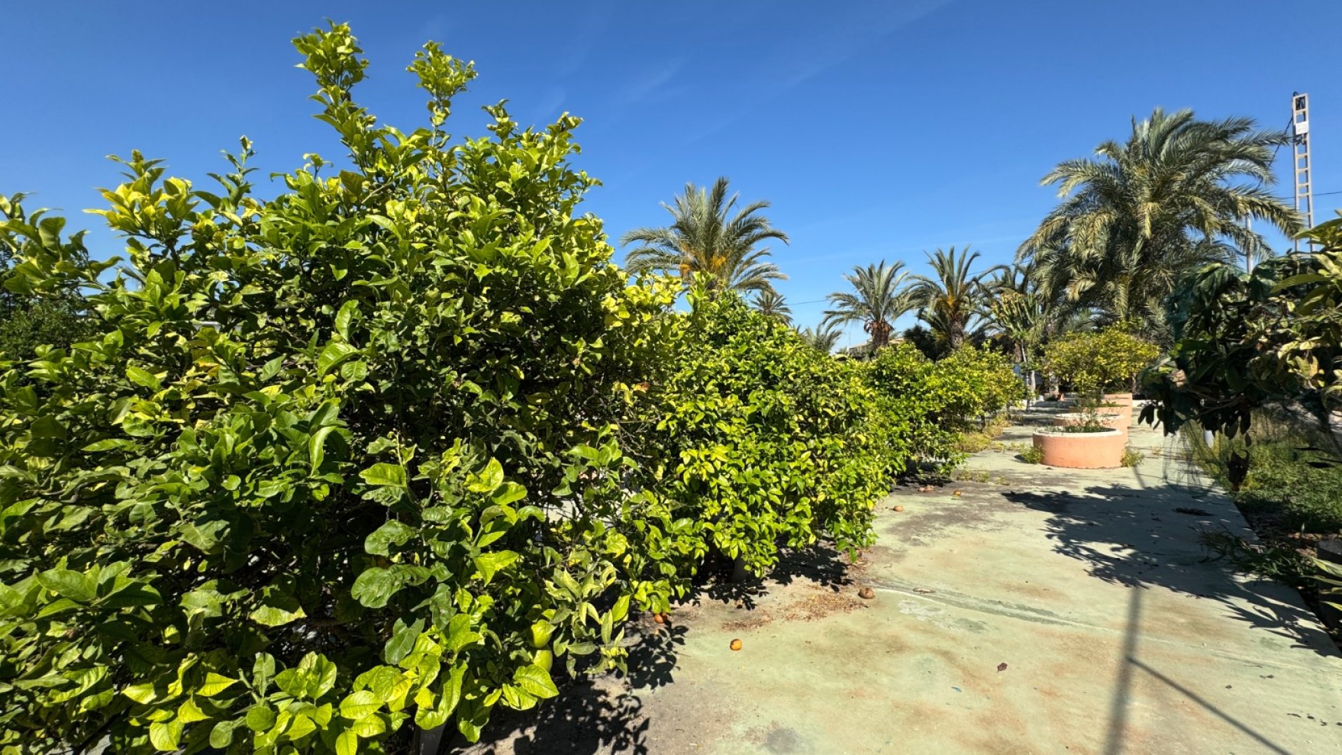 Resale - Villa -
Elche - Valverde