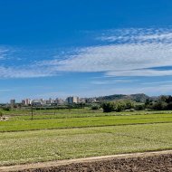 Resale - Villa -
Guardamar del Segura