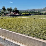 Resale - Villa -
Guardamar del Segura