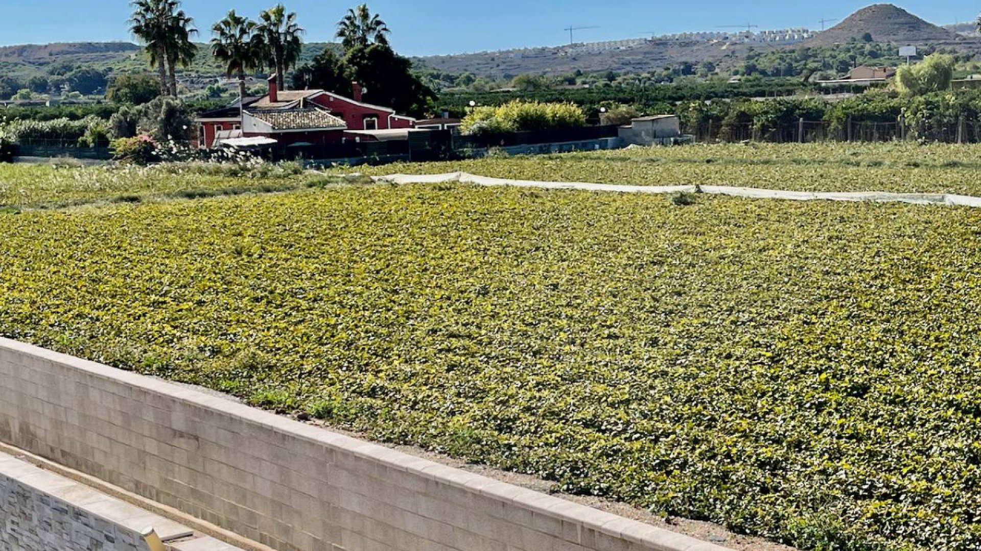 Resale - Villa -
Guardamar del Segura