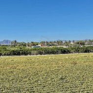 Resale - Villa -
Guardamar del Segura