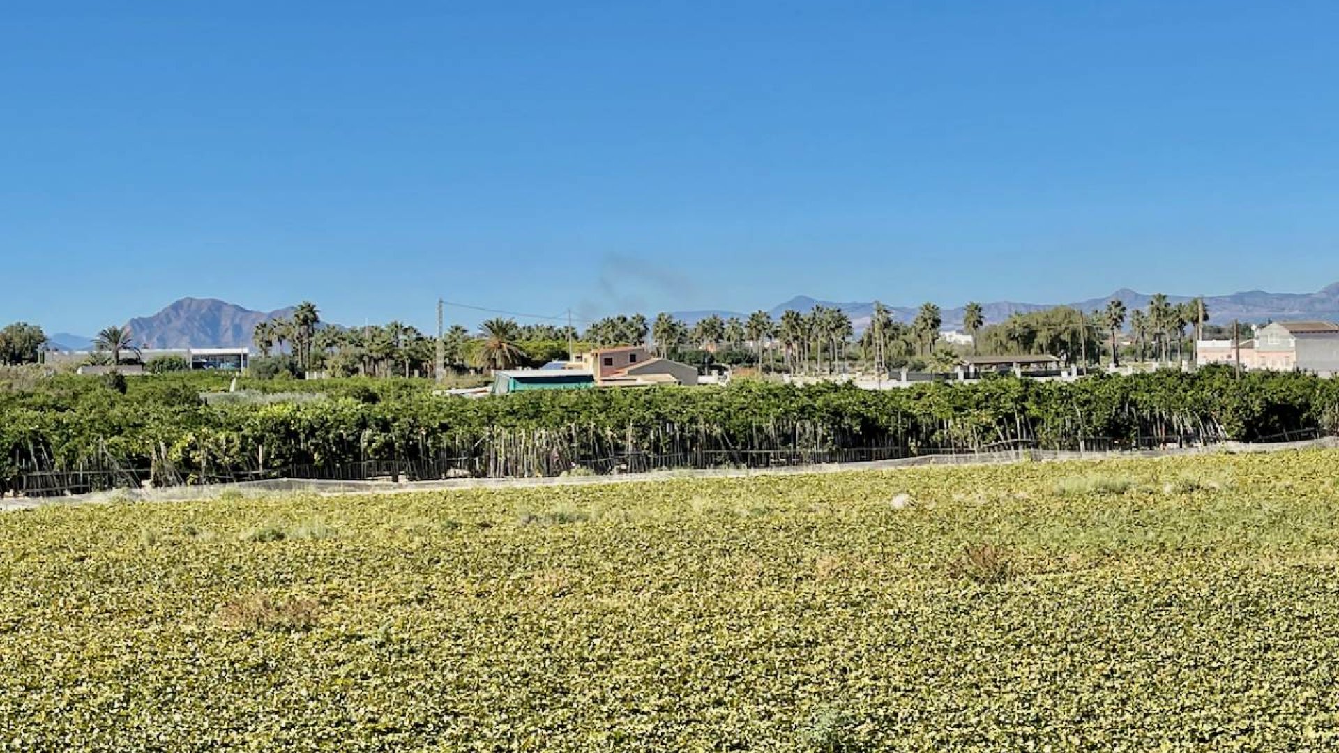 Resale - Villa -
Guardamar del Segura