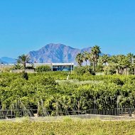 Resale - Villa -
Guardamar del Segura