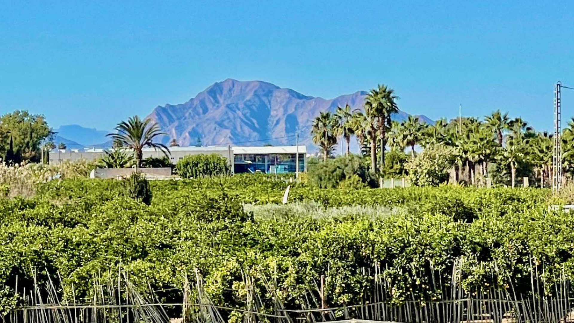 Resale - Villa -
Guardamar del Segura