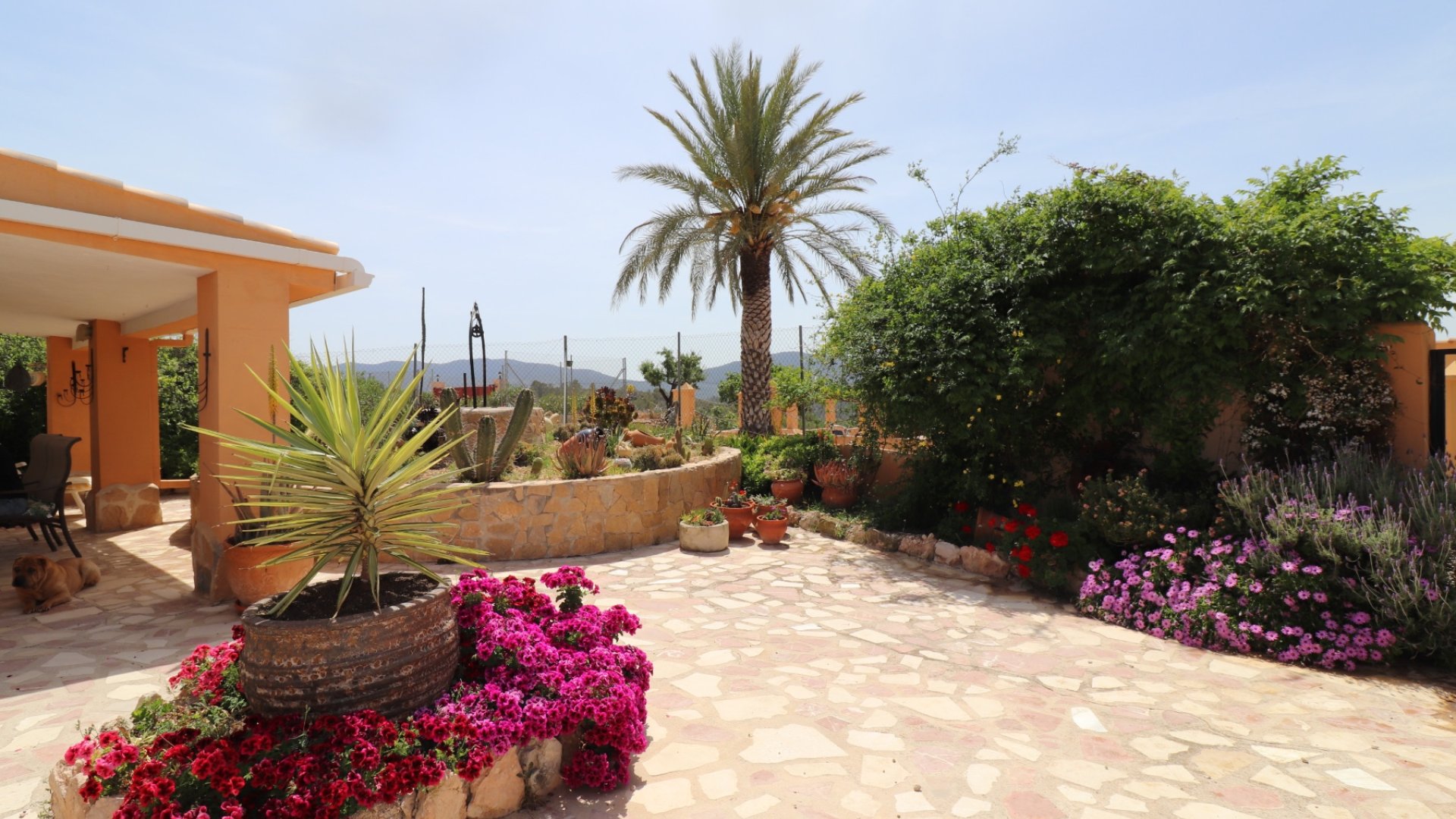 Resale - Villa -
Hondón de las Nieves - La Canalosa