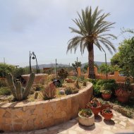 Resale - Villa -
Hondón de las Nieves - La Canalosa