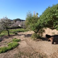 Resale - Villa -
La Nucía - El Tossal-Bello Horizonte