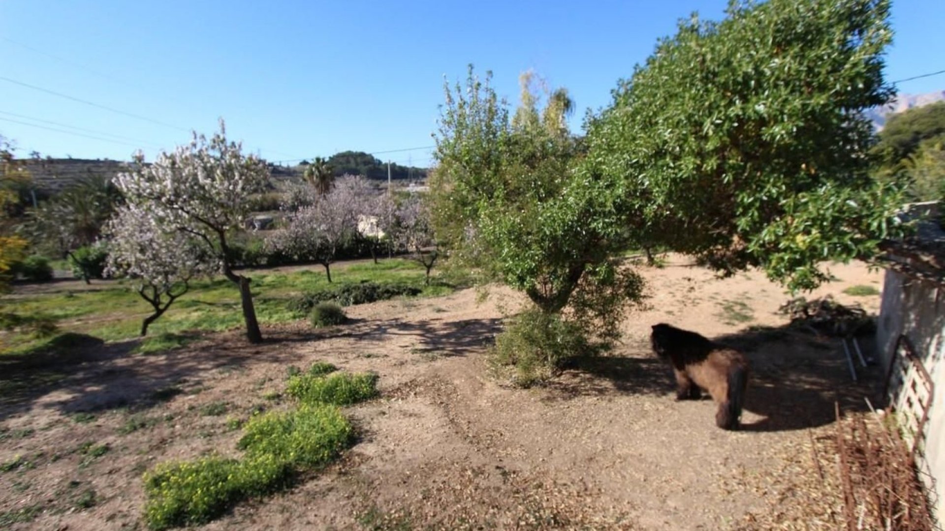 Resale - Villa -
La Nucía - El Tossal-Bello Horizonte