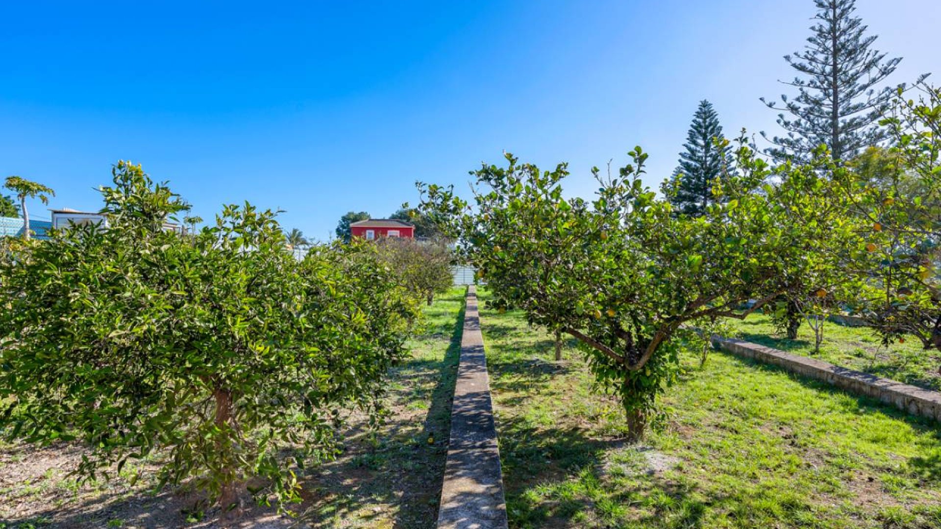 Resale - Villa -
Los Montesinos