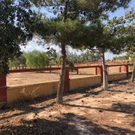 Resale - Villa -
Los Montesinos