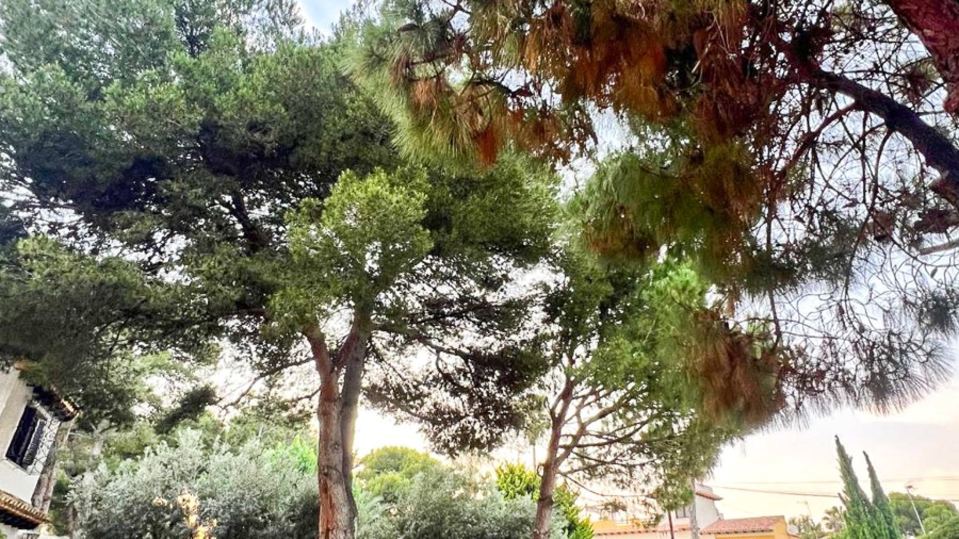Resale - Villa -
Orihuela Costa - Punta Prima