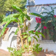 Resale - Villa -
Orihuela Costa - Punta Prima