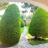 Resale - Villa -
Orihuela Costa - Punta Prima