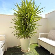 Resale - Villa -
Orihuela Costa - Villamartín