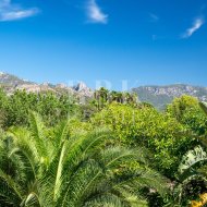 Resale - Villa -
Palma - Palma rural