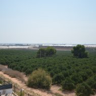 Resale - Villa -
Pilar de la Horadada