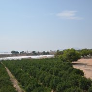 Resale - Villa -
Pilar de la Horadada