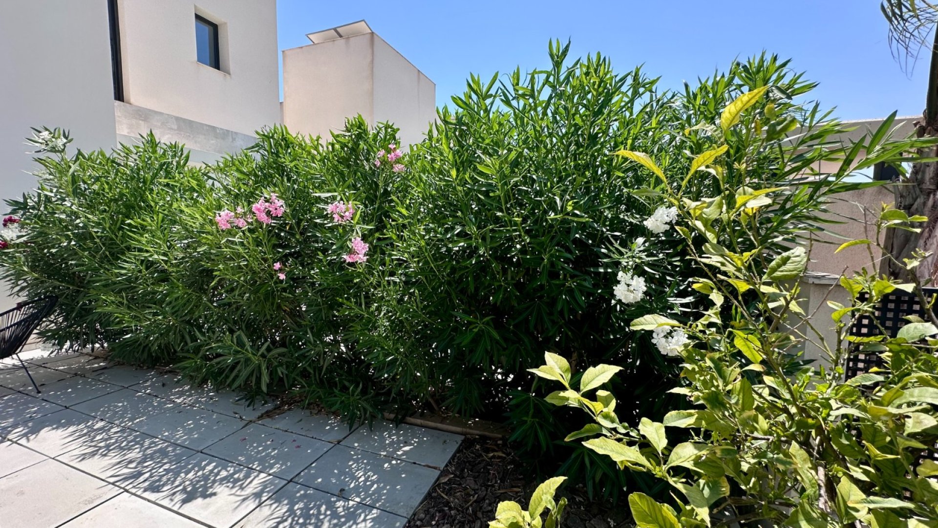 Resale - Villa -
Rojales