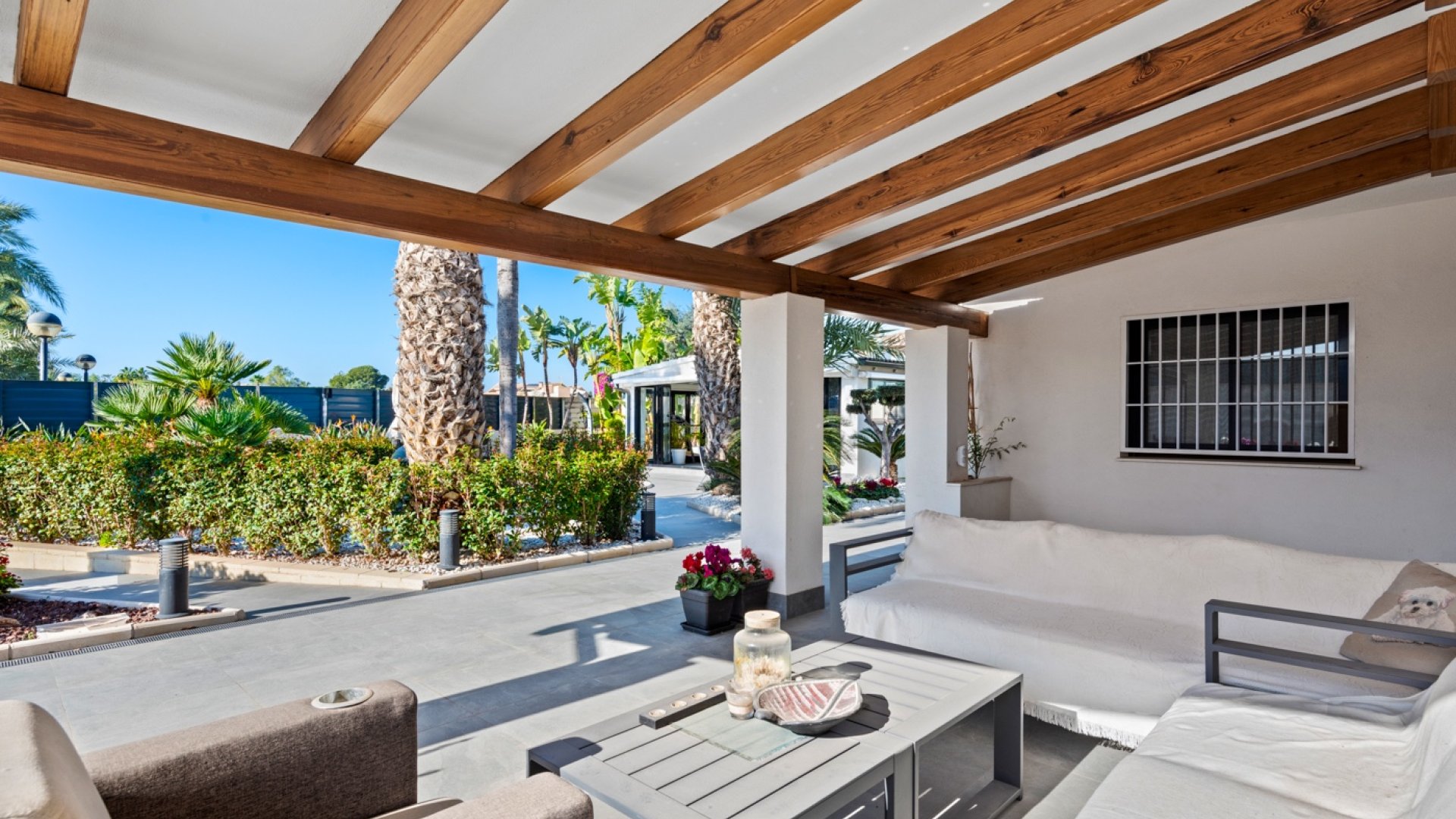 Resale - Villa -
San Juan - Frank Espinós