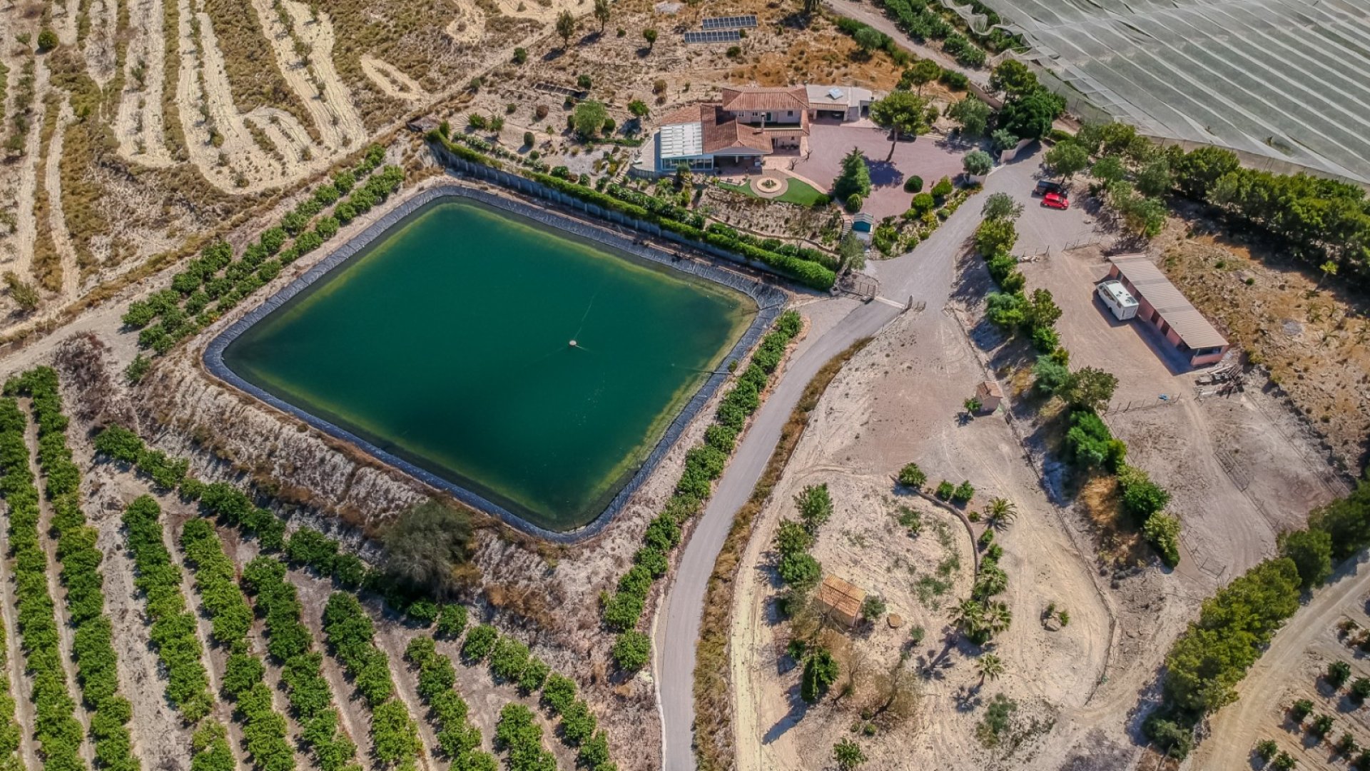 Resale - Villa -
San Miguel de Salinas - Torremendo