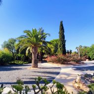 Resale - Villa -
San Miguel de Salinas