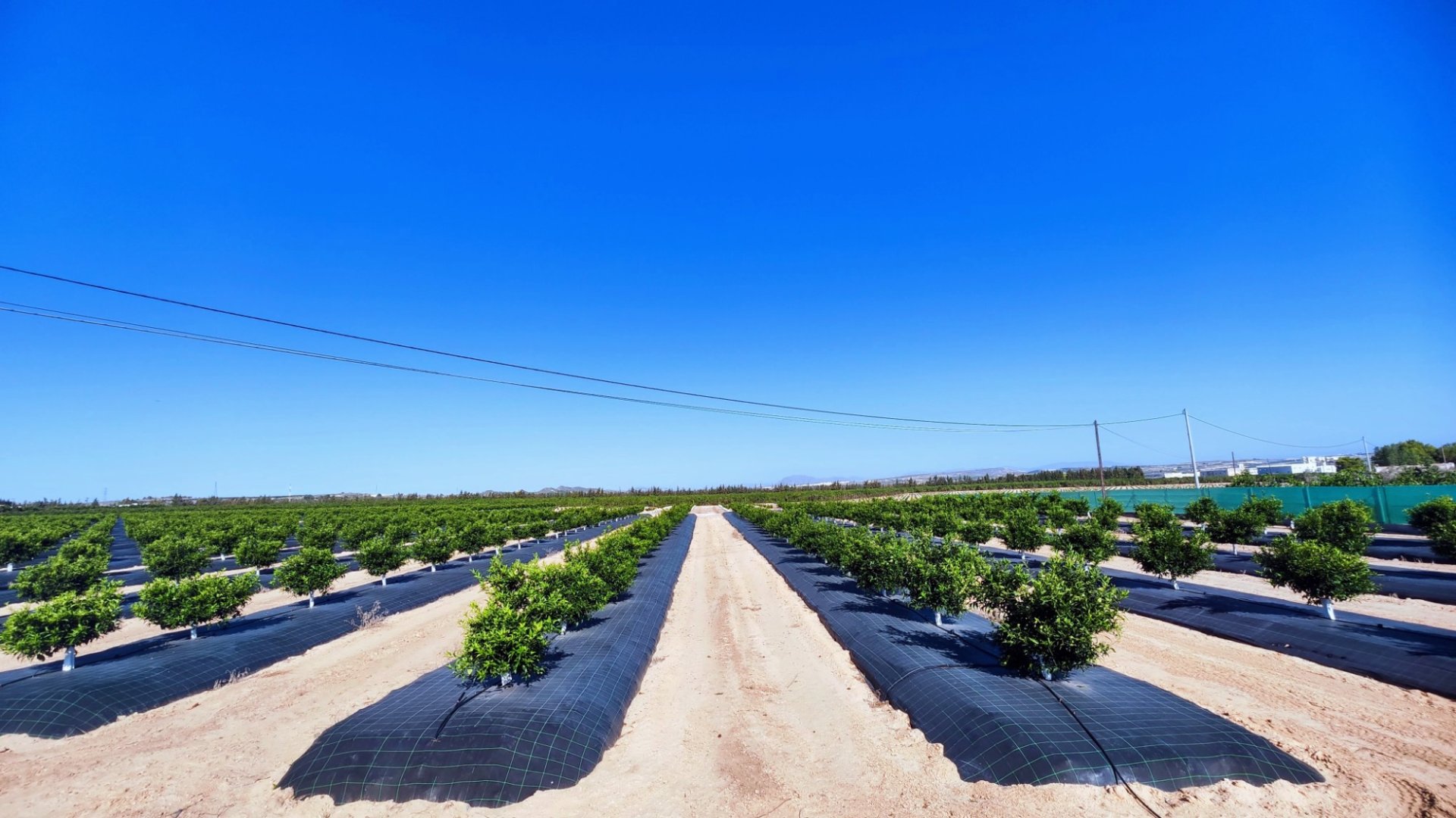 Resale - Villa -
San Miguel de Salinas