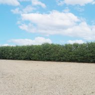 Resale - Villa -
San Vicente del Raspeig