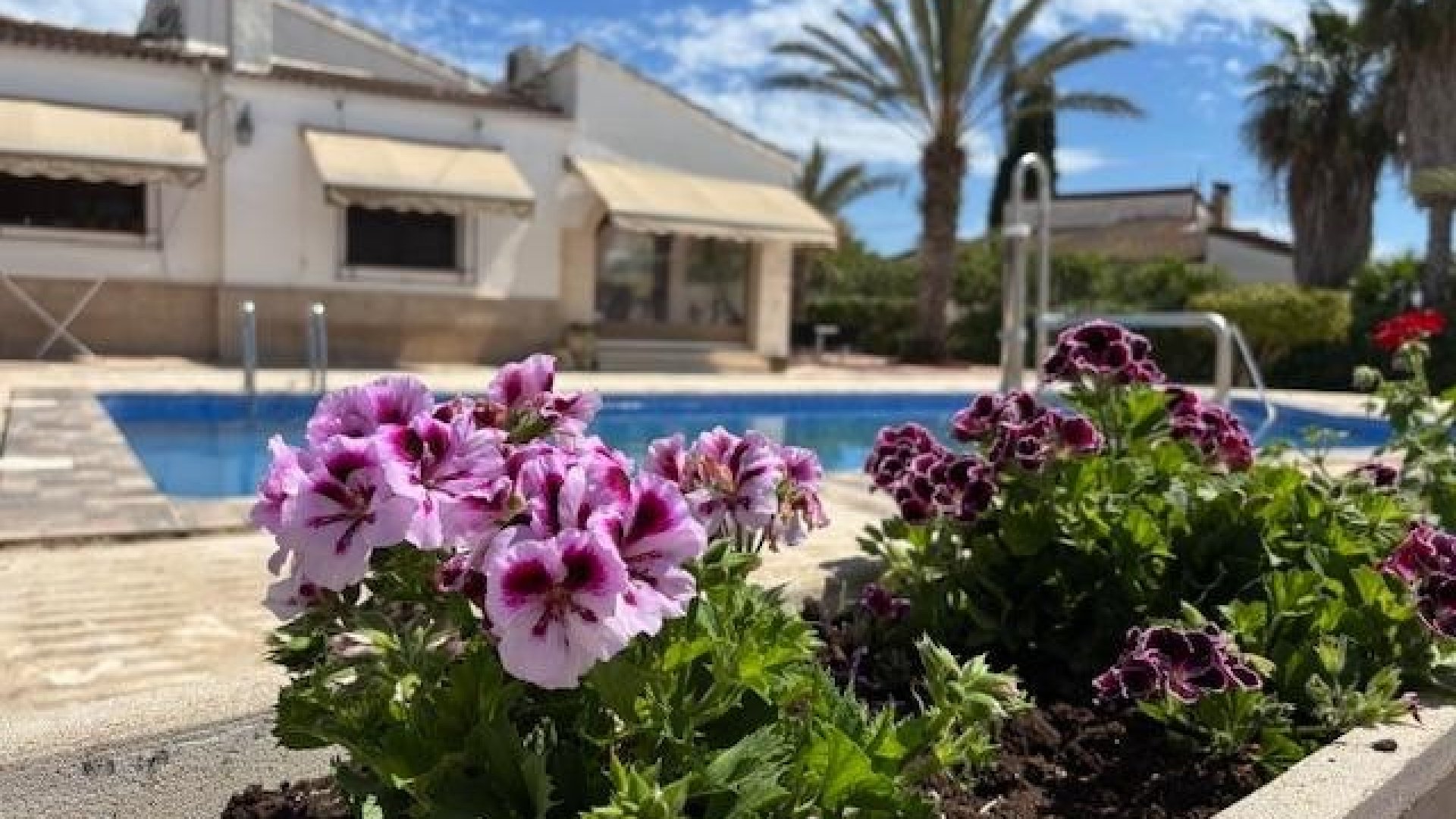 Resale - Villa -
Santa Pola