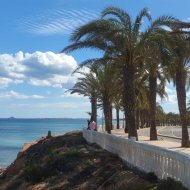 Resale - Villa -
Torre de la Horadada